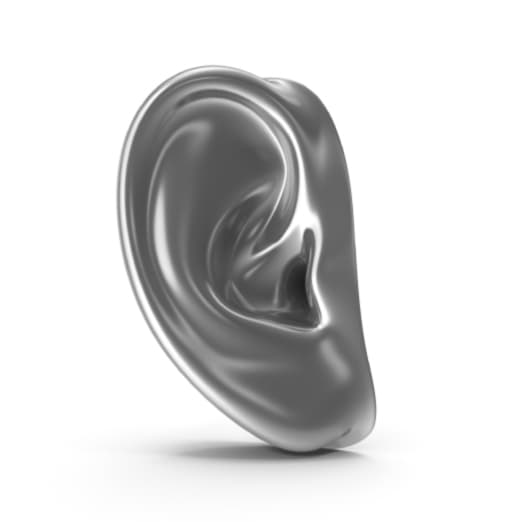 Ear illustration