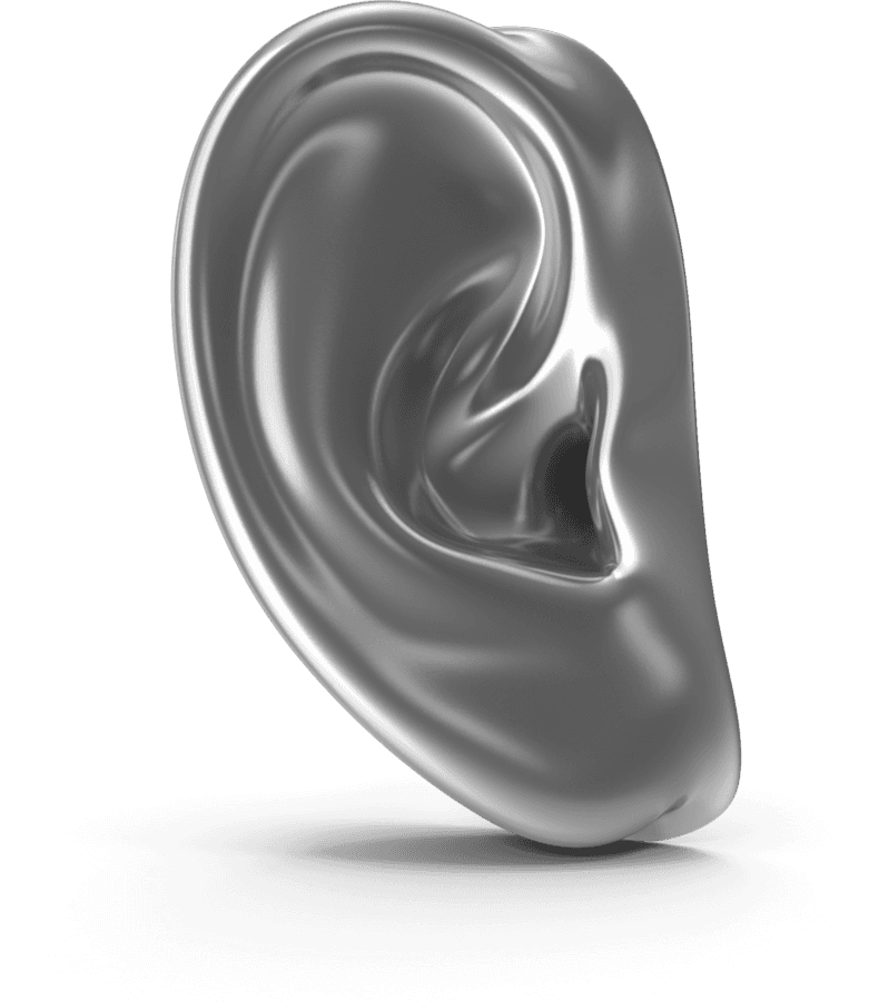 Ear illustration